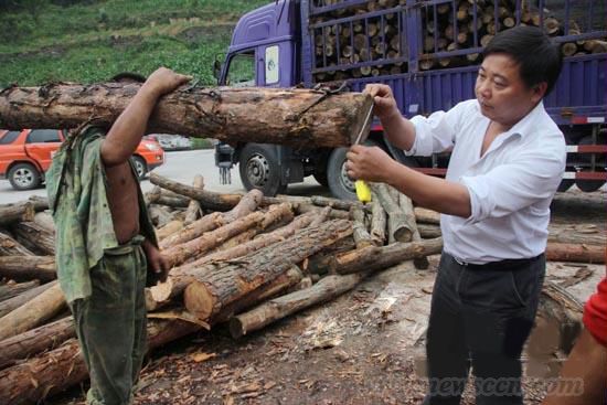 红岩寺林业站查处非法收购木材厂