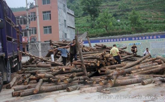 红岩寺林业站查处非法收购木材厂