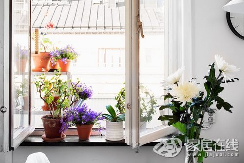 44平北欧单身公寓 阳光满满且花儿朵朵