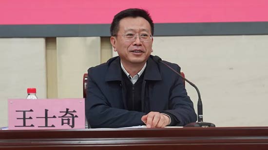 王士奇讲话
