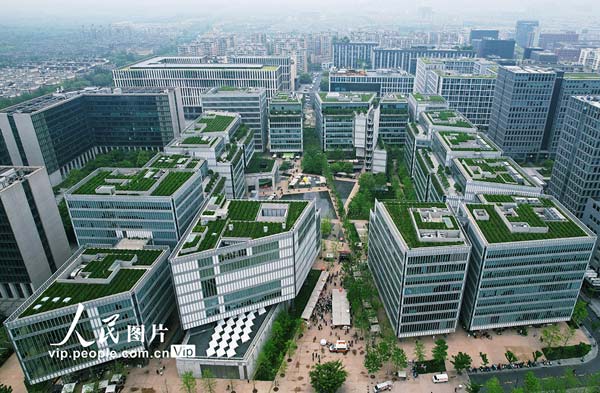 浙江杭州：写字楼顶种出龙井茶 成为城市新景观