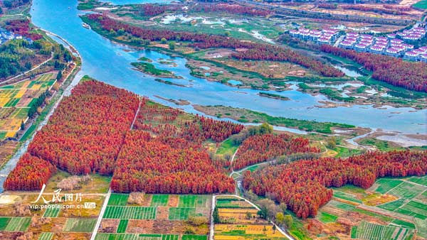 浙江淳安:武强溪生态湿地五彩斑斓