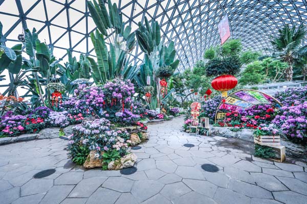 沪上公园将推出21场新春活动 打造