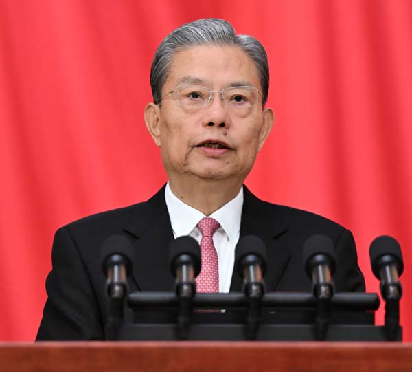 赵乐际作全国人大常委会