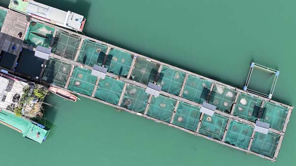 野化驯养基地助力长江水