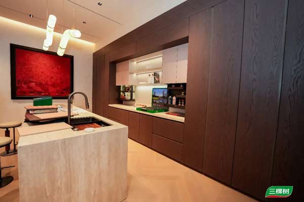 三棵树小森板引爆广州定制家居展