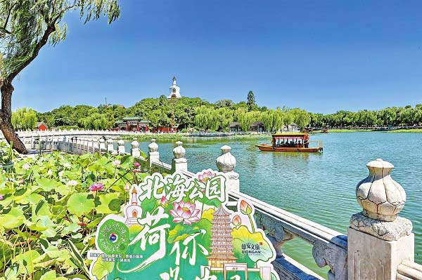 船行荷花间　人在画中游