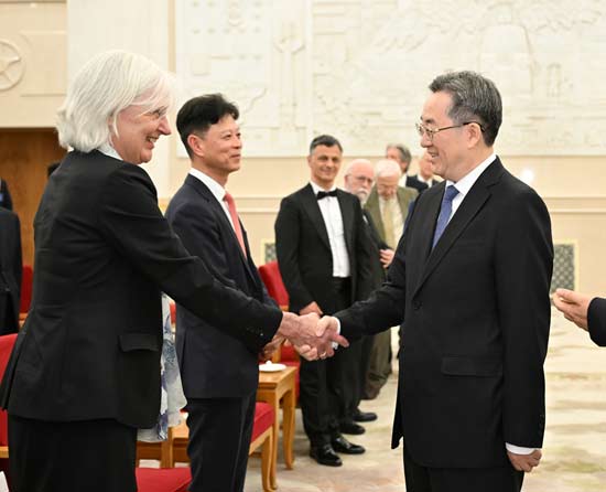 丁薛祥接见国际科技合作