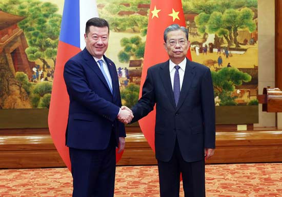 赵乐际同捷克众议长冈村