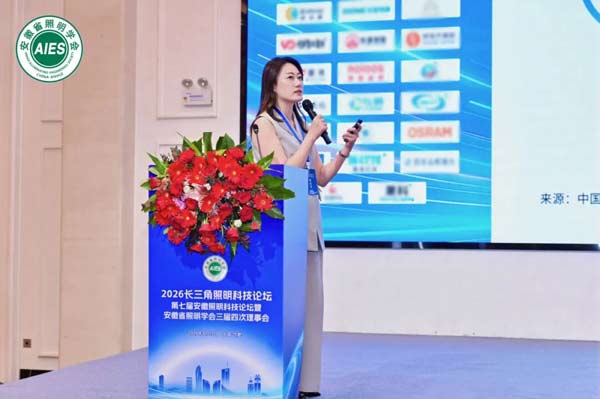 智汇长三角|以路侧储能,开启智慧低碳照明新